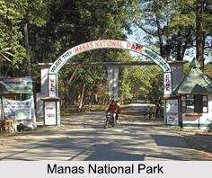 Manas National Park, Assam