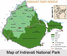 Indravati National Park, Chhattisgarh