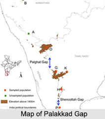 Paladkka Gap, Western Ghats