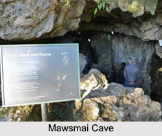 Caves in Meghalaya