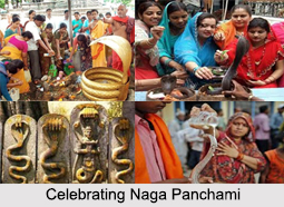 Naga Panchami, Hindu Rituals