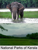 National Parks of Kerala