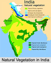 Natural Vegetation in India