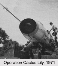 Operation Cactus Lily, 1971