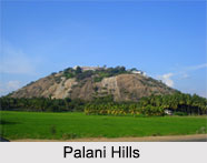 Palani Hills, Western Ghats