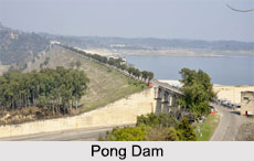 Pong Dam, Himachal Pradesh
