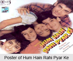 Hum Hain Rahi Pyar Ke, Indian Movie