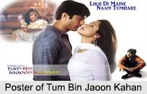 Tum Bin Jaoon Kahan, TV Serial