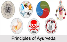 Principles Of Ayurveda