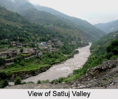 Satluj Valley, Himachal Pradesh