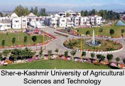 Sher-e-Kashmir University of Agricultural Sciences and Technology, Indian Universities