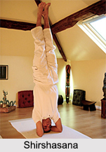 Shirshasana