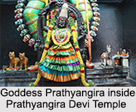 Sholinganallur, Tamil Nadu