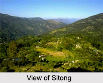 Sitong, Kurseong, West Bengal