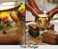 Thai Pongal, Festivals of Tamil Nadu