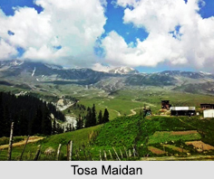 Tosa Maidan, Jammu and Kashmir