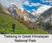 Trekking in Great Himalayan National Park