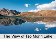 Tso Moriri, Leh, Ladakh