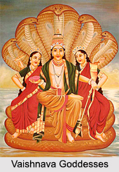 Vaishnava Goddesses