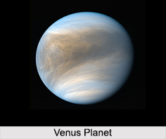 Venus Planet, Horoscope