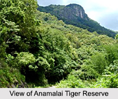 Anamalai Tiger Reserve, Tamil Nadu