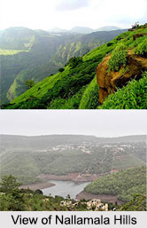 Nallamala Hills, Indian Hill Station