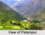 Palampur, Himachal Pradesh