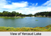 Yercaud Lake, Tamil Nadu