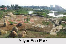 Adyar, Chennai, Tamil Nadu