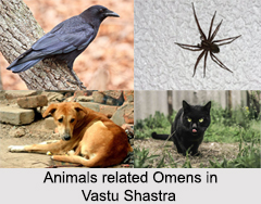 Omens, Vastu Shastra