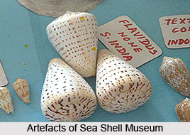 Museums in Diu