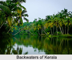 Coastal Plains of India