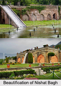 Nishat Bagh, Srinagar