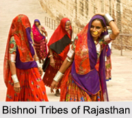Tribes of Rajasthan, Indian Tribal People