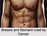Astrology and Health for Cancer