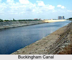 Buckingham Canal, Andhra Pradesh