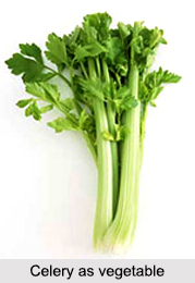 Celery Seed, Indian Spice