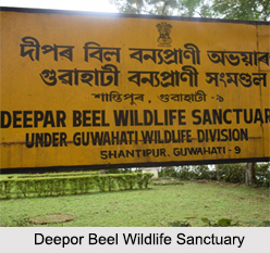 Deepor Beel, Guwahati, Assam