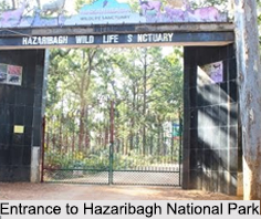 Hazaribagh National Park, Jharkhand