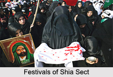 Shia Sect, Islam