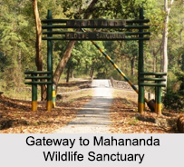 Mahananda Wildlife Sanctuary, Darjeeling, West Bengal