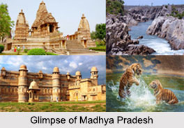 Central Indian States