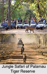 Palamau Tiger Reserve