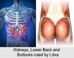Astrology and Health for Libra