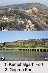 Forts in Rajasthan, Indian Monuments