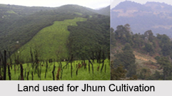 Jhum Cultivation, North East India