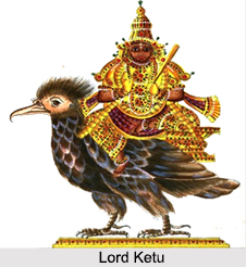 Ketu Planet, Horoscope