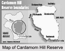 Cardamom Hills, Kerala