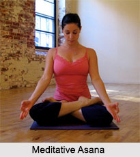 Types of Yoga Asanas