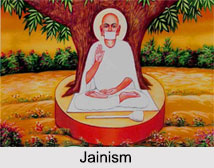 Non-Canonical Jain Literature